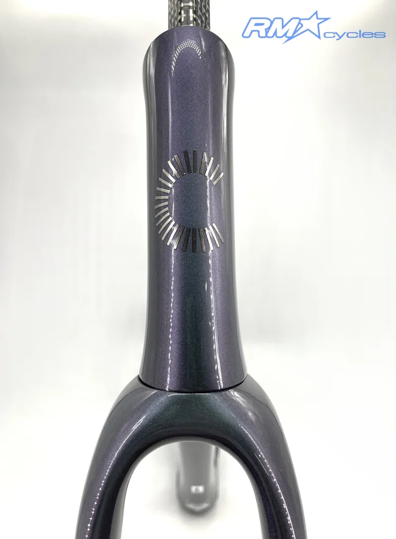 Cannondale Supersix Evo 2023 Frame Mystique Gray-9