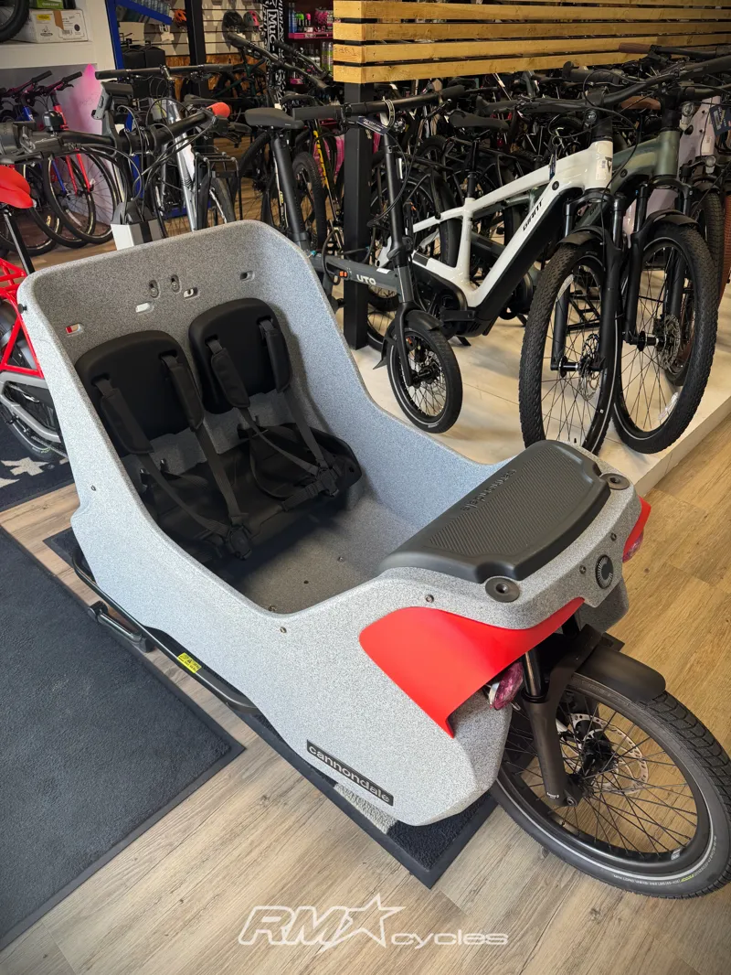 Cannondale Wonderwagen Neo 2 Cargo Bike-3