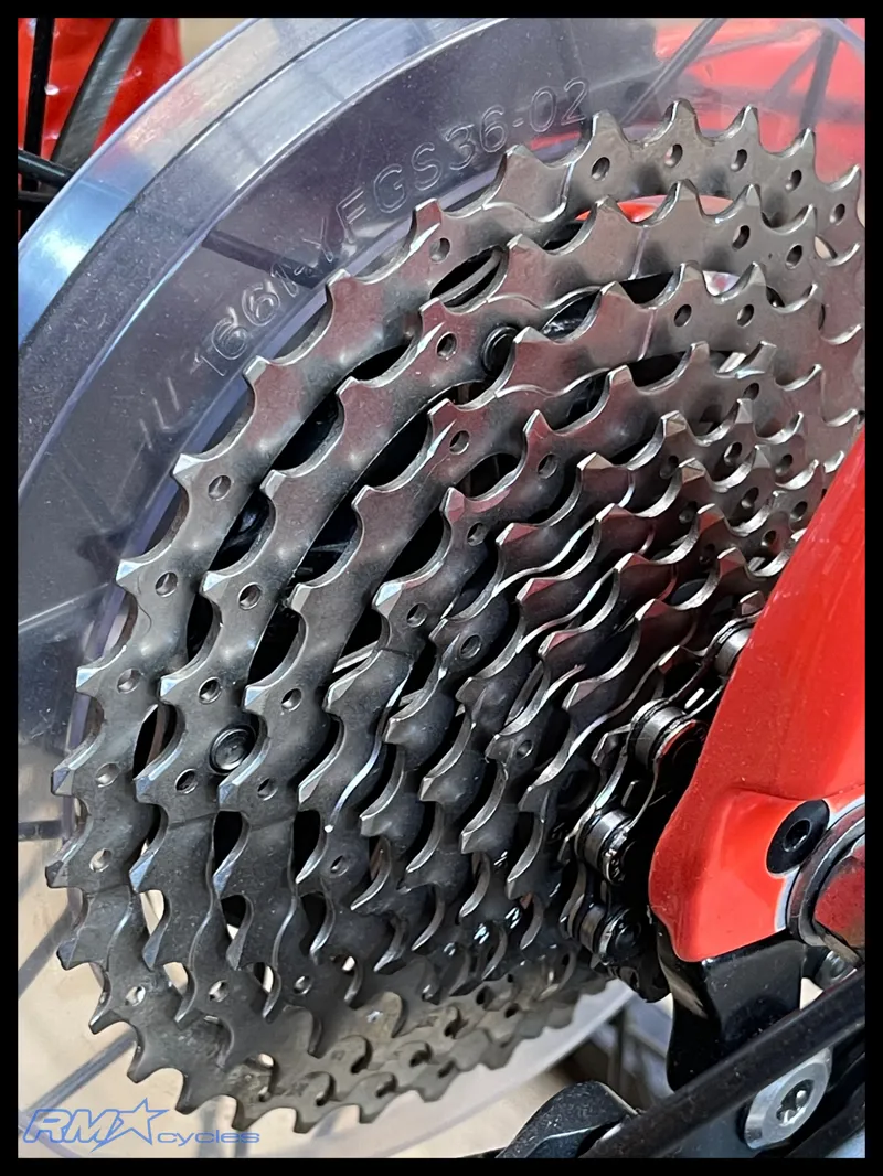 Momentum Voya E+ 3 Tequila Sunrise Small 2022-2