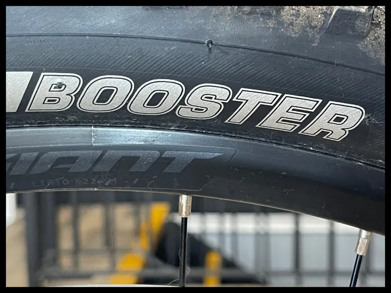 Giant Talon 0 Blue Ashes Large 29er 2022 Approved Used-9