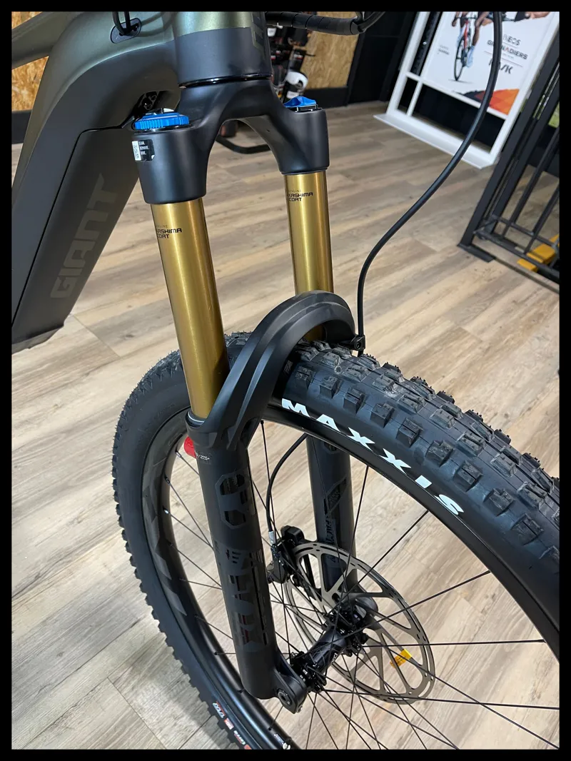 Giant Reign E+ 0 MX Pro 625w  25km/h Medium Phantom Green/Black 2021-6