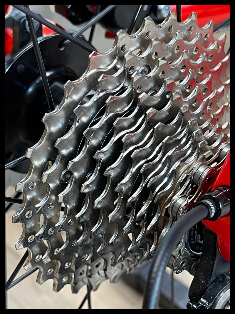 Giant TCR Advanced Pro 2 Disc Medium Phoenix Fire 2022-2