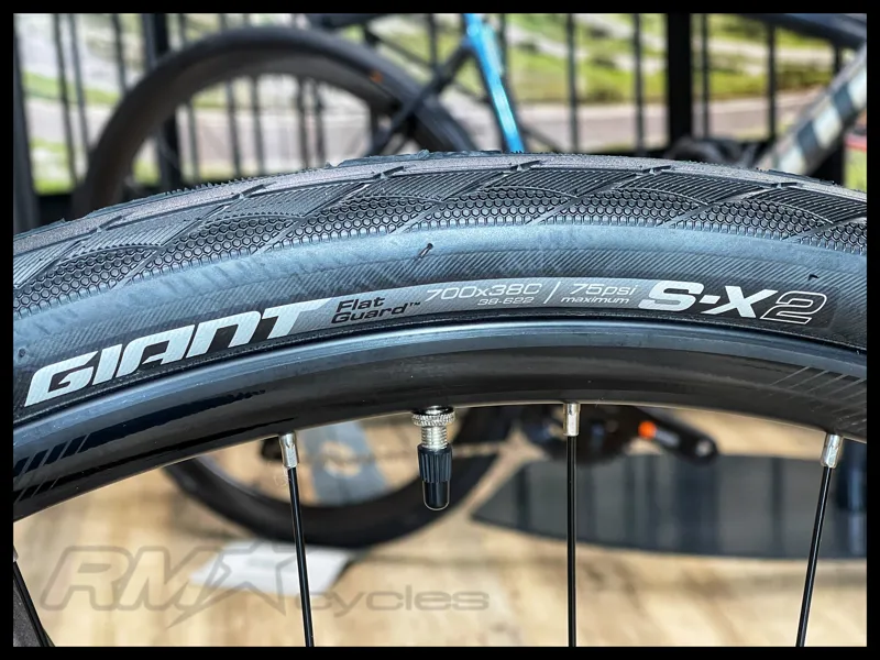 Giant Escape 2 Disc Medium Metal 2023-8