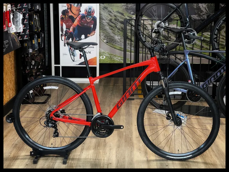Giant Roam 4 Disc Medium Phoenix 2023