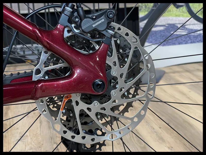 Giant Reign E+ 2 25km/h Medium Sangria 2023-8