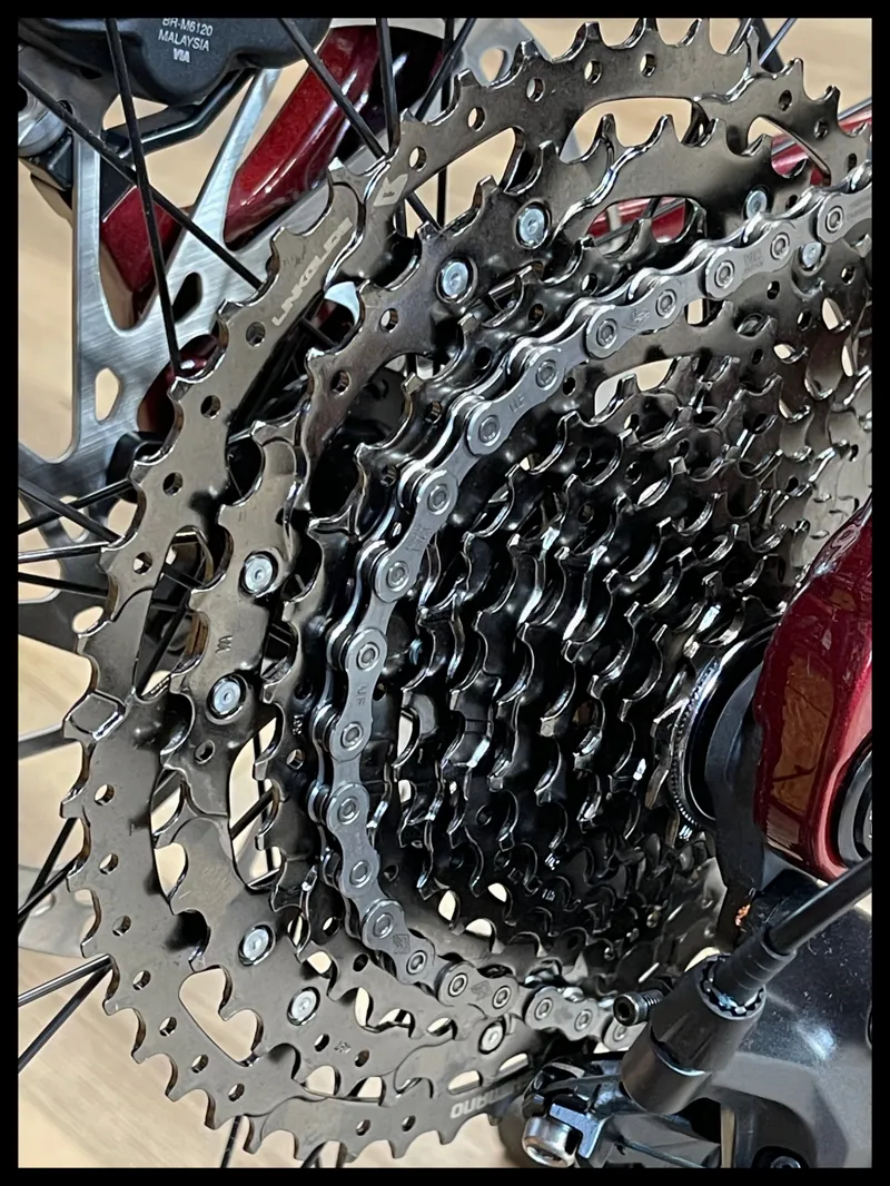 Giant Reign E+ 2 25km/h Medium Sangria 2023-2