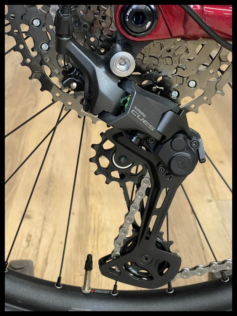 Giant Reign E+ 2 25km/h Medium Sangria 2023-3