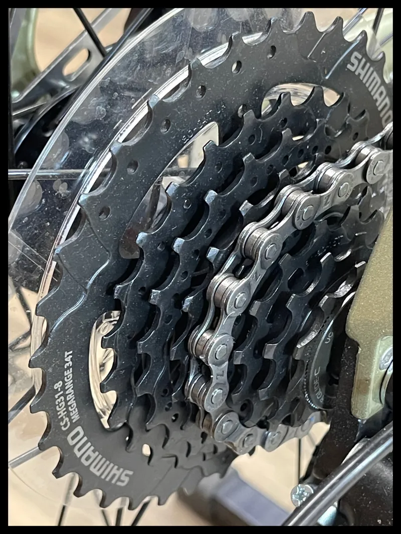 Liv Alight 2 DD Disc Small Bay Leaf 2022-2