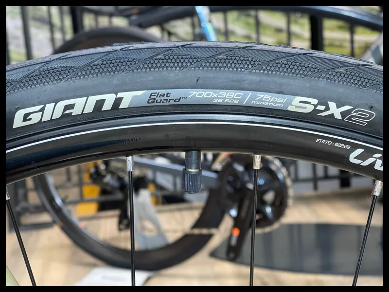 Liv Alight 2 DD Disc Small Bay Leaf 2022-8