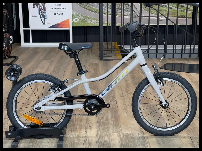 Giant ARX 16 F/W  Mushroom 2024