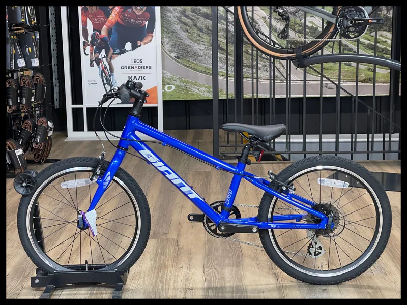 Giant ARX 20 Cobalt-1