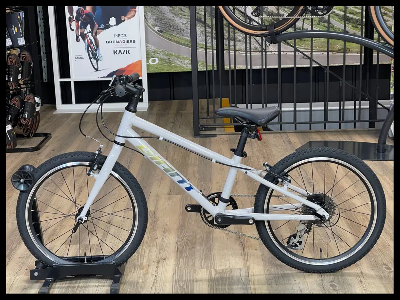 Giant ARX 20 Mushroom 2024-1