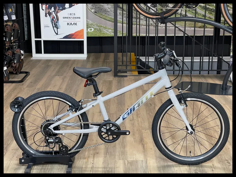 Giant ARX 20 Mushroom 2024