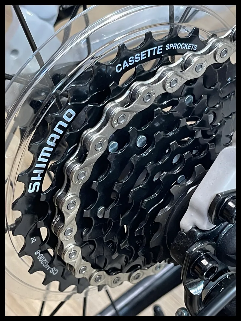 Giant ARX 20 Mushroom 2024-2