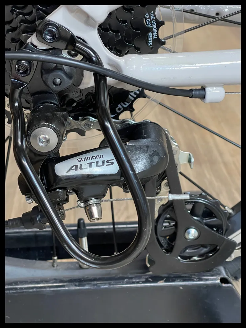 Giant ARX 20 Mushroom 2024-3