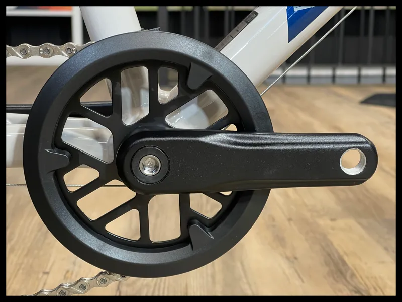 Giant ARX 20 Mushroom 2024-4