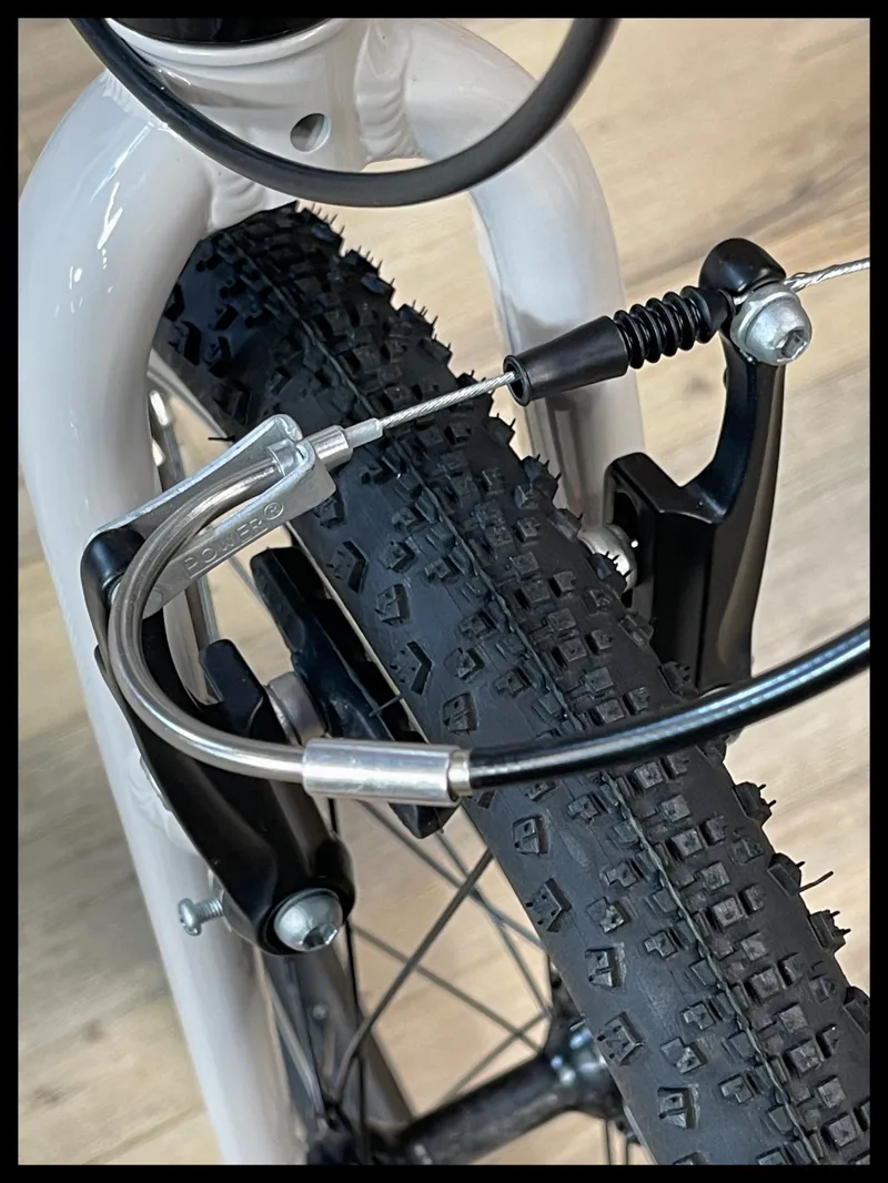 Giant ARX 20 Mushroom 2024-5