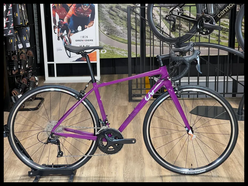 Liv Avail 1 Small Aubergine 2022