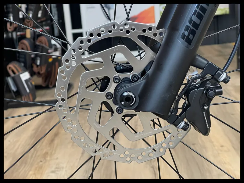 Liv Intrigue 29 1 Small Kelp Forest 2022-7