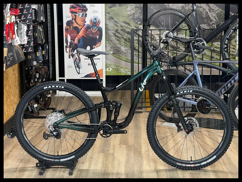 Liv Intrigue 29 1 Small Kelp Forest 2022