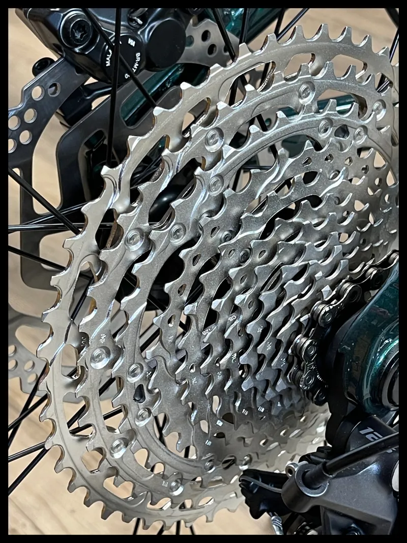 Liv Intrigue 29 1 Small Kelp Forest 2022-2