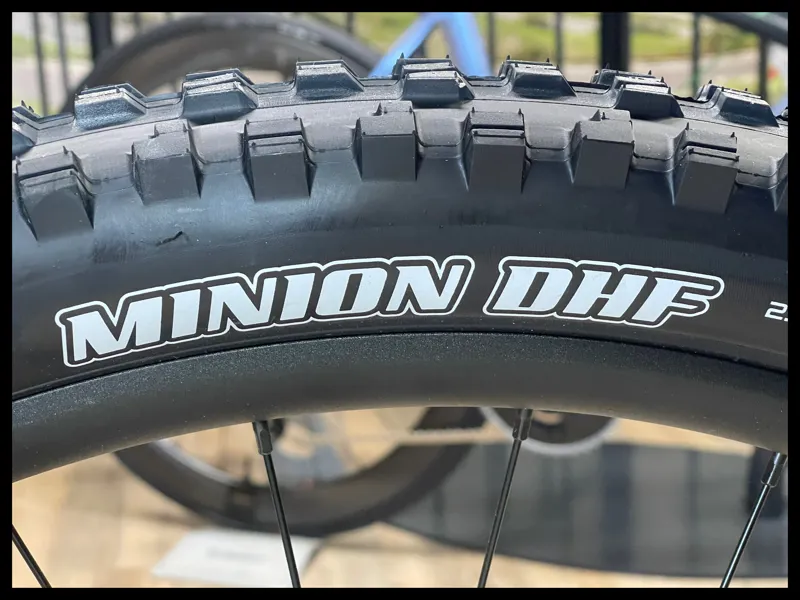 Liv Intrigue 29 1 Small Kelp Forest 2022-9