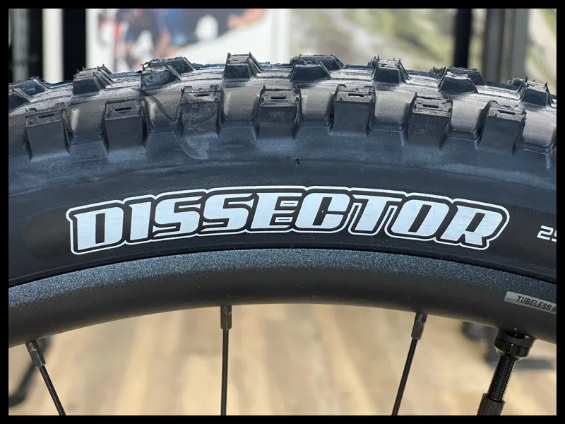 Liv Intrigue 29 1 Small Kelp Forest 2022-10