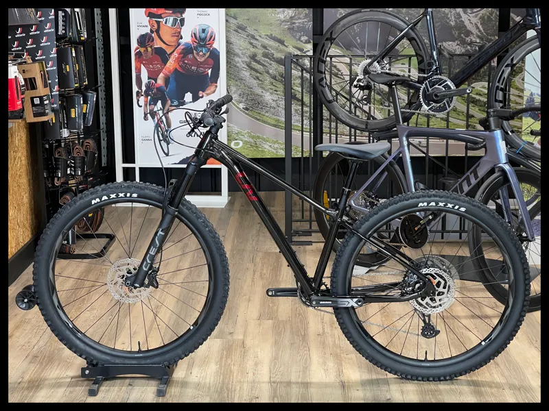 Liv Lurra 29 1 Small Panther 2023-1