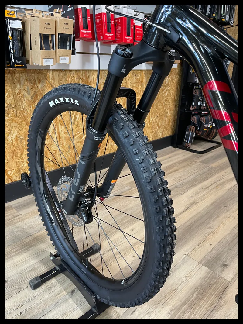 Liv Lurra 29 1 Small Panther 2023-5