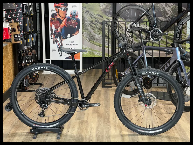 Liv Lurra 29 1 Small Panther 2023