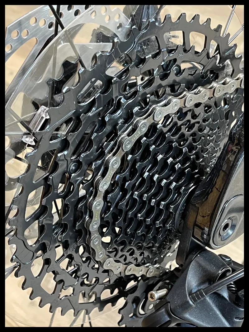 Liv Lurra 29 1 Small Panther 2023-2