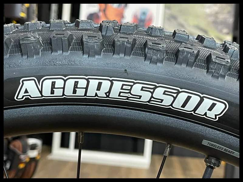 Liv Lurra 29 1 Small Panther 2023-7