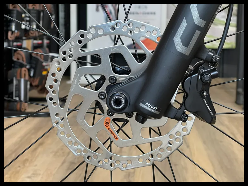 Liv Lurra 29 1 Small Panther 2023-8