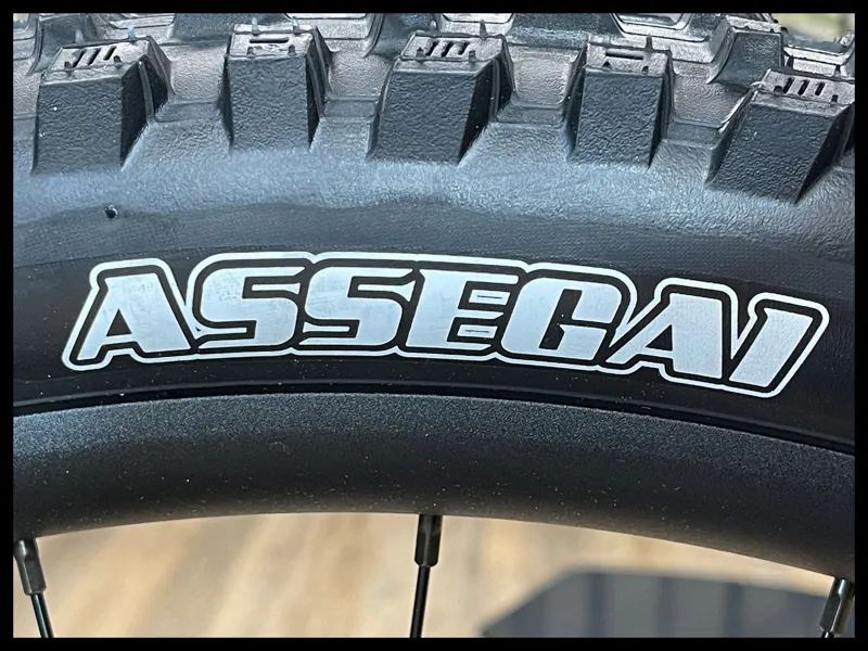 Giant Reign Advanced 2 Medium Sangria/Carbon 2025-9