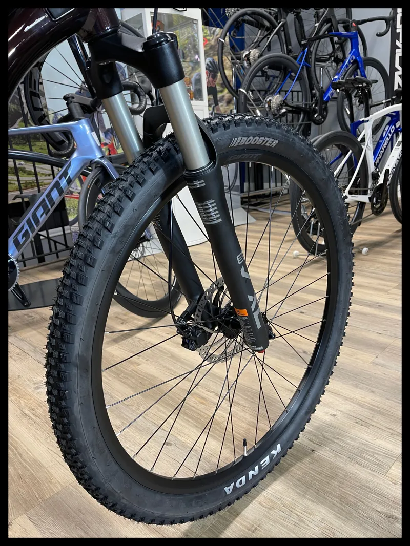 Giant Talon 1 29 Medium Cordovan 2024-5