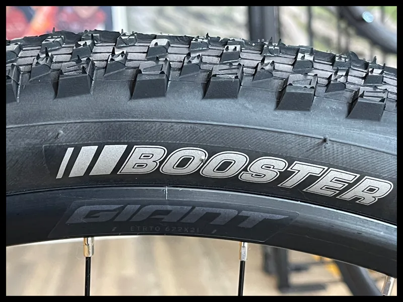 Giant Talon 1 29 Medium Cordovan 2024-8