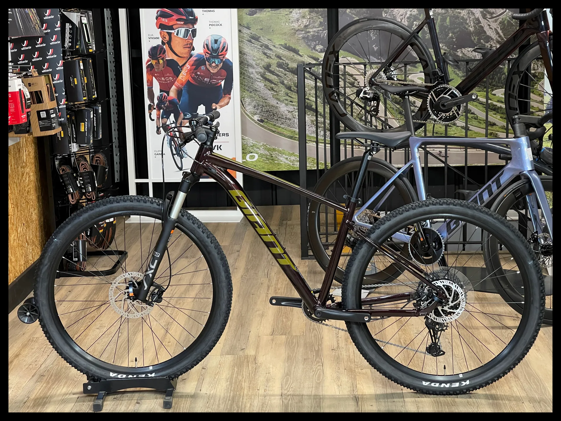 2024 Giant Talon Mens Alloy MTB in Brown