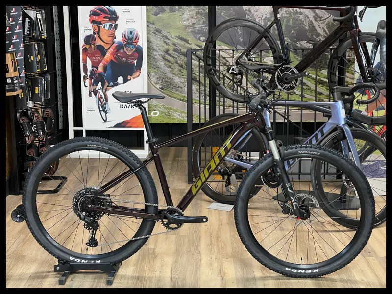 Giant Talon 1 29 Medium Cordovan 2024