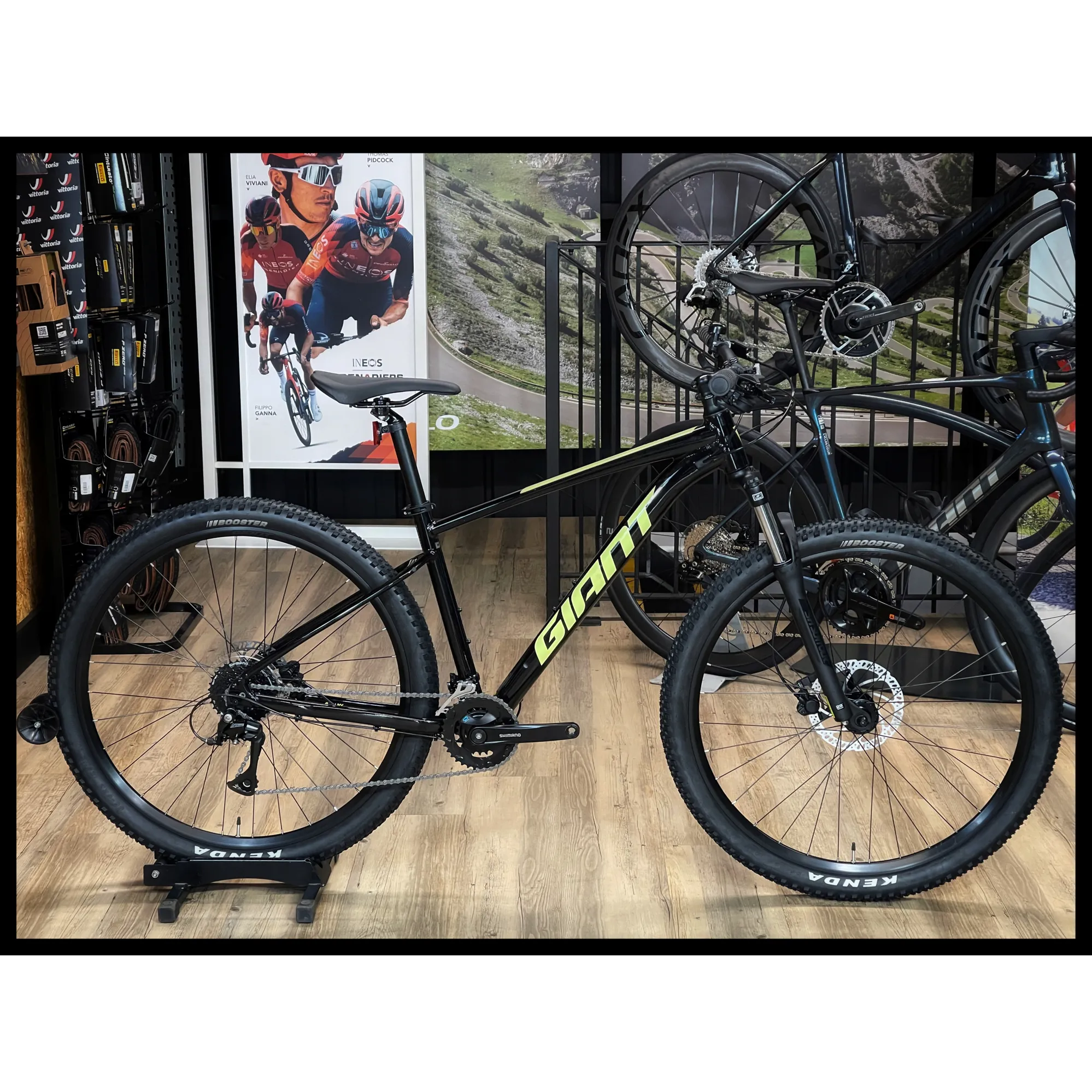 Metallic Black Mtb Giant Talon 29 2024 Giant Talon Mens Alloy MTB