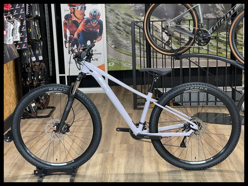 Liv Tempt 29 3 Small Misty Lilac 2024-1