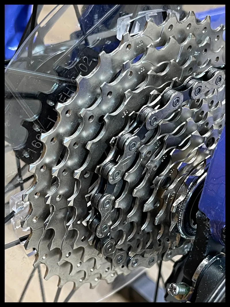 Liv Thrive 1 Dusted Peri Small 2021-2