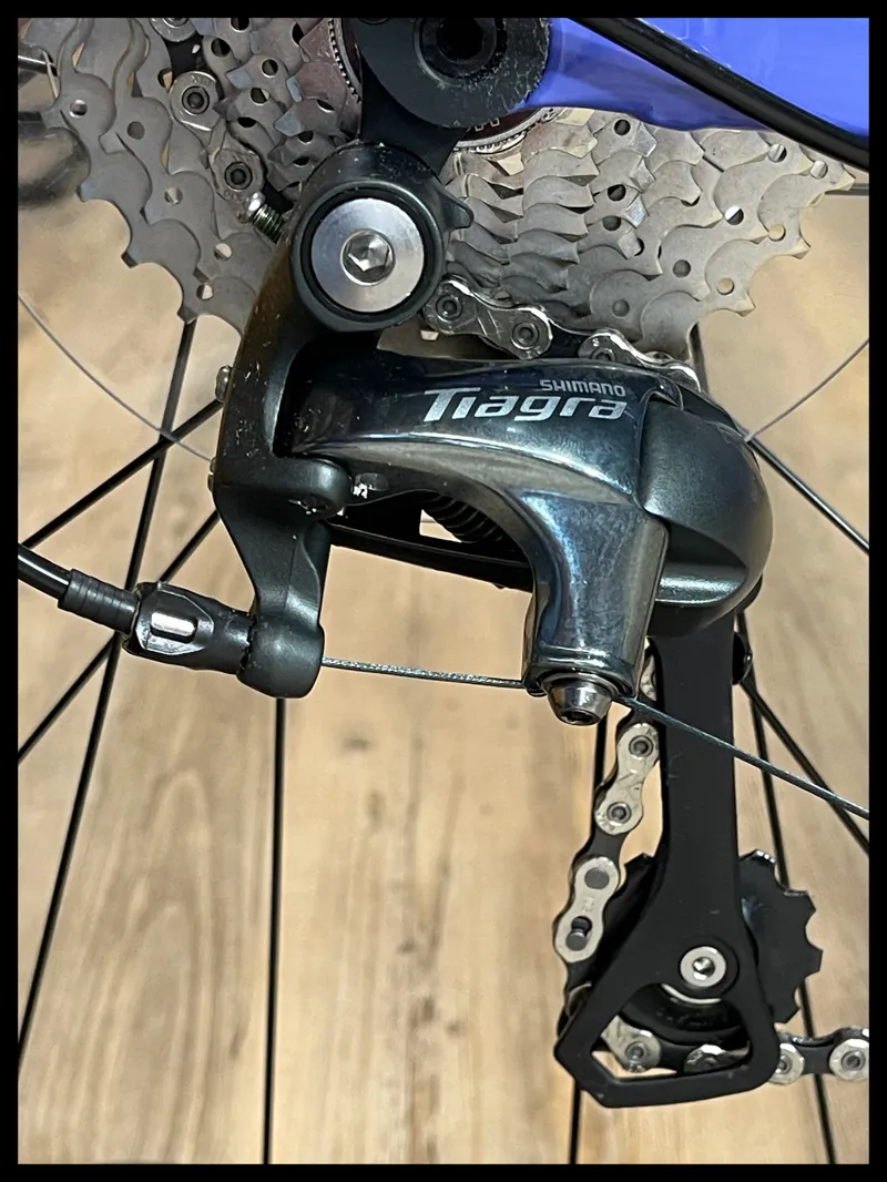 Liv Thrive 1 Dusted Peri Small 2021-3