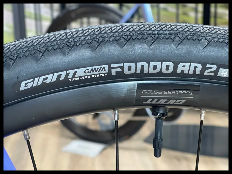 Liv Thrive 1 Dusted Peri Small 2021-8