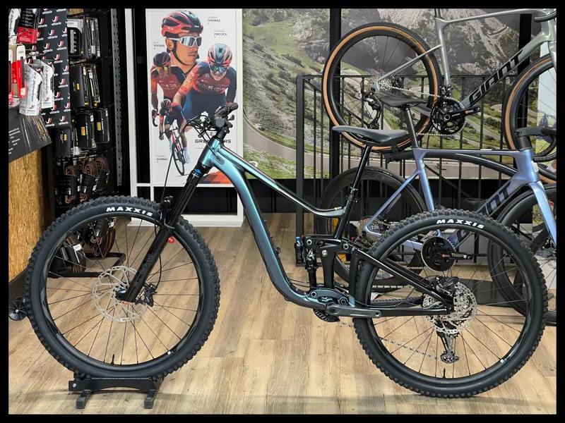 Giant Reign 1 Medium Blue Dragonfly/Black 2024-1