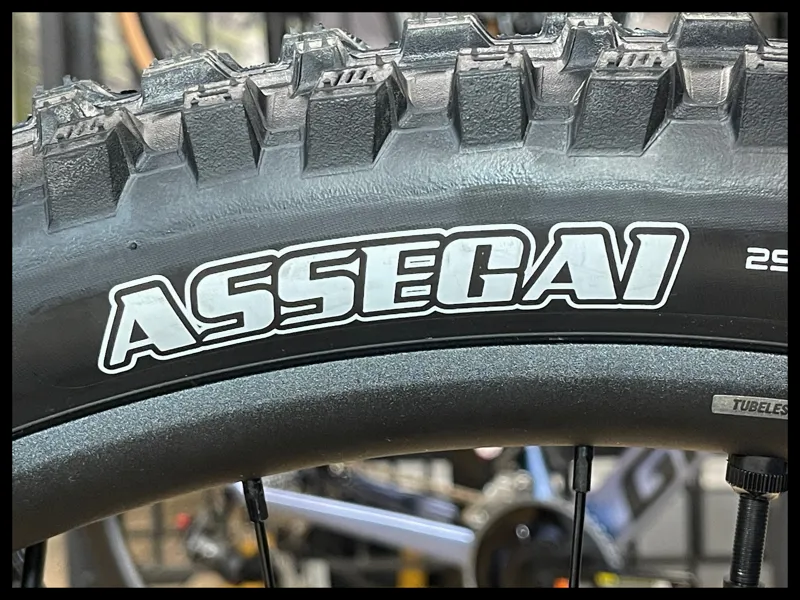 Giant Reign 1 Medium Blue Dragonfly/Black 2024-9