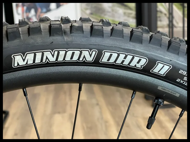 Giant Reign 1 Medium Blue Dragonfly/Black 2024-10