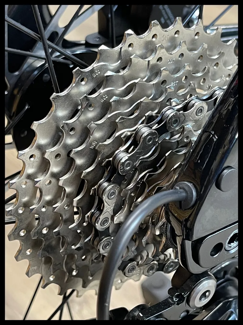 Giant Revolt Advanced 3 M-Large Panther 2025-2