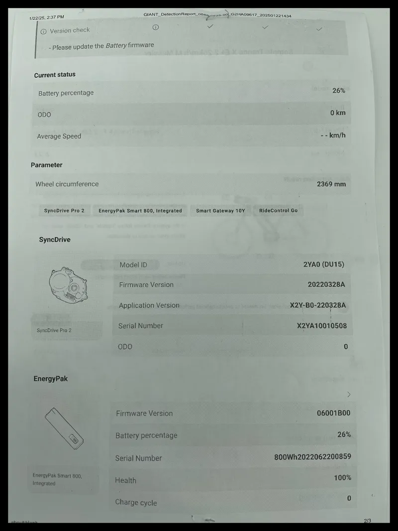 Giant Trance x E+2 25KM/H Medium Messier 2024-12