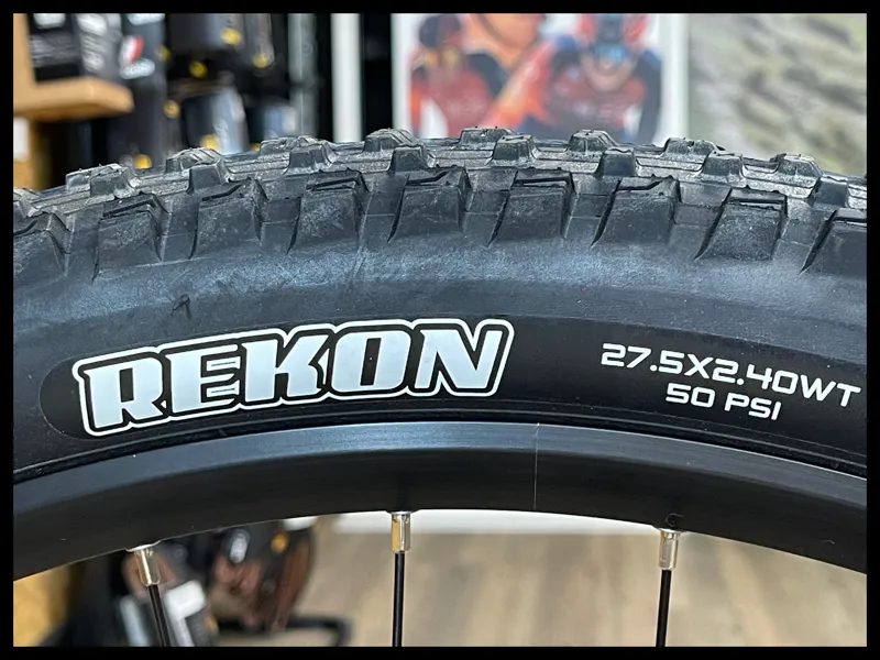 Liv Vall E+ 2 Echeveria X-Small 2022-8