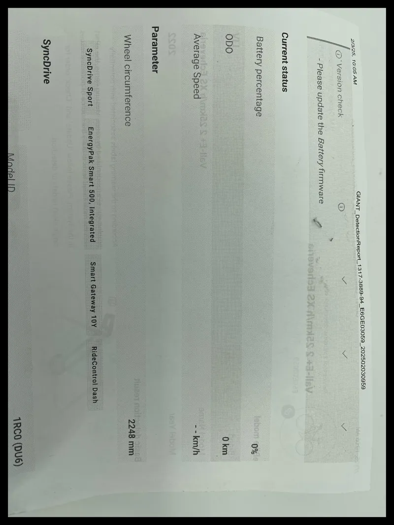 Liv Vall E+ 2 Echeveria X-Small 2022-10